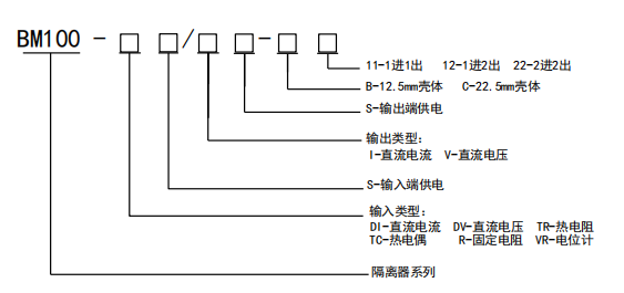 BM100產(chǎn)品型號說明.png